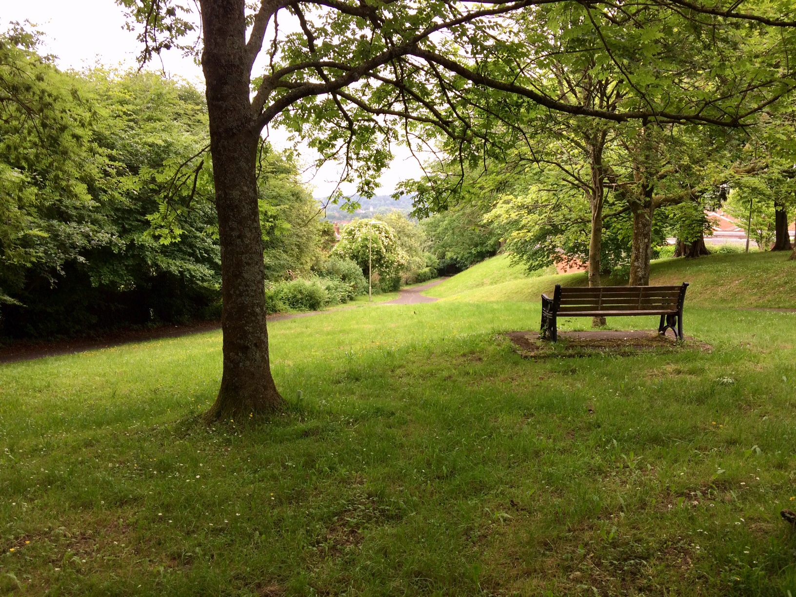 A bench in Badger Farm