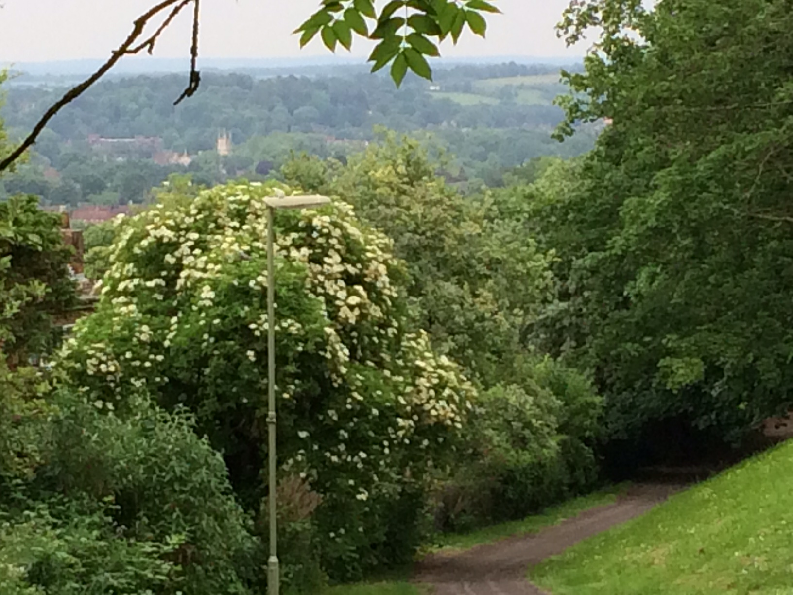 Distant view of Winchester Cathedral from Badger Farm