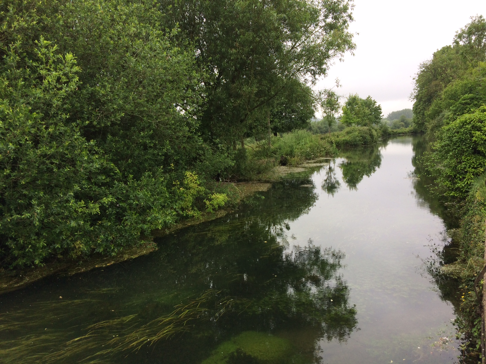 The River Itchen running through the water meadows in Winchester