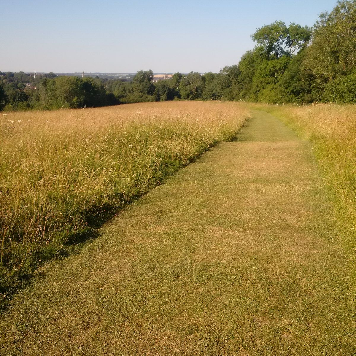 A path cut through the grass on Whiteshute Ridge in Winchester