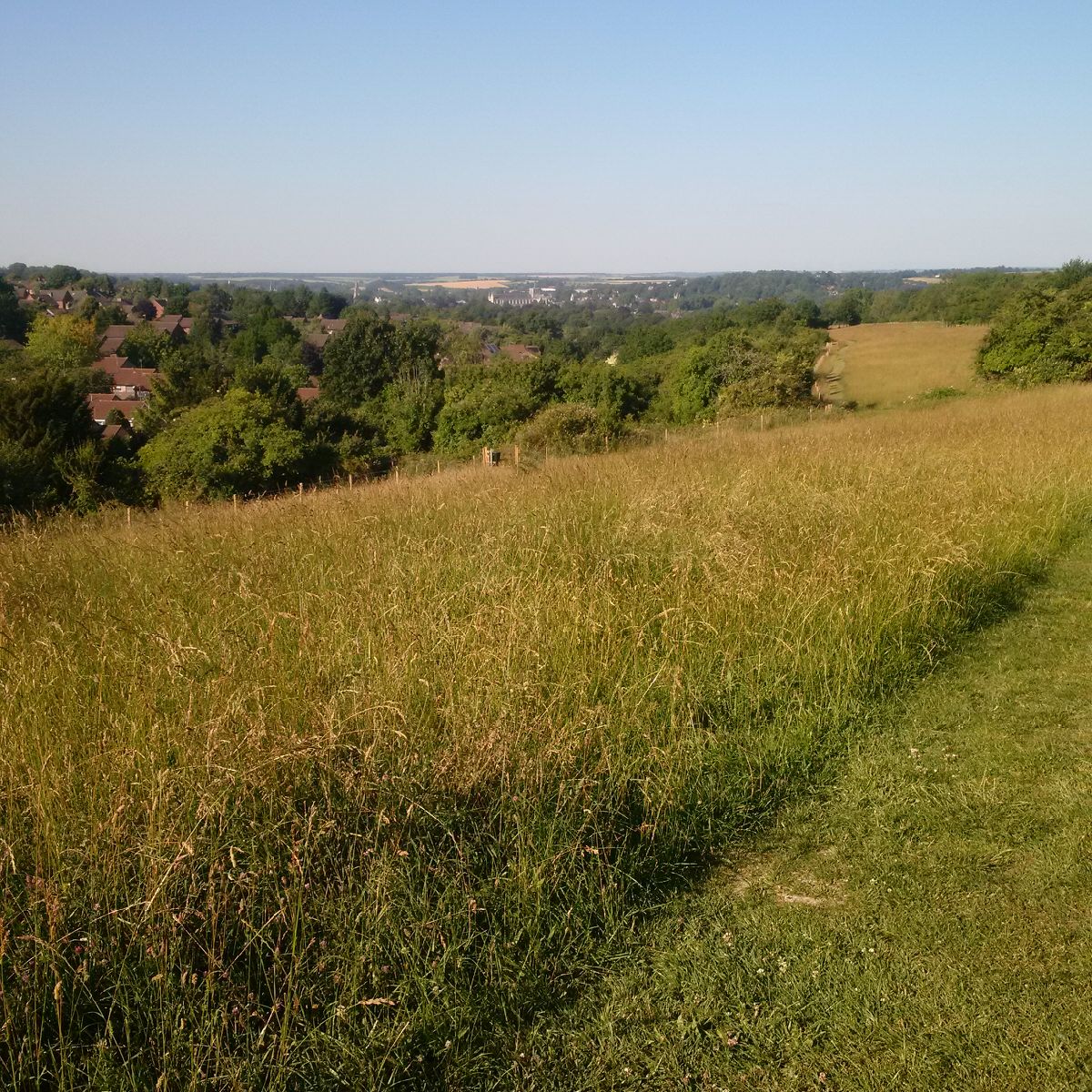 A distant view of Winchester Cathedral from Whiteshute Ridge