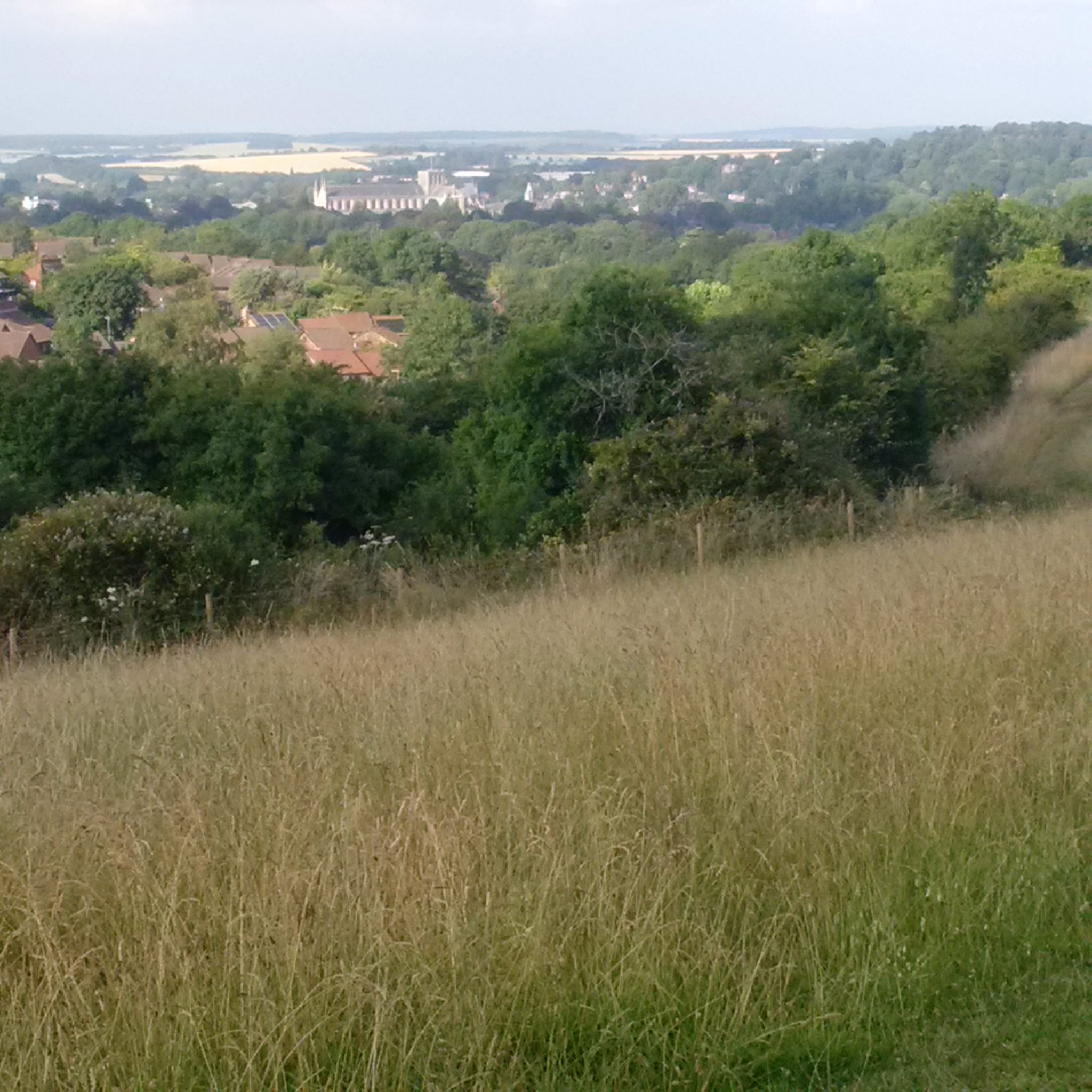 A view of Winchester Cathedral from Whiteshute Ridge