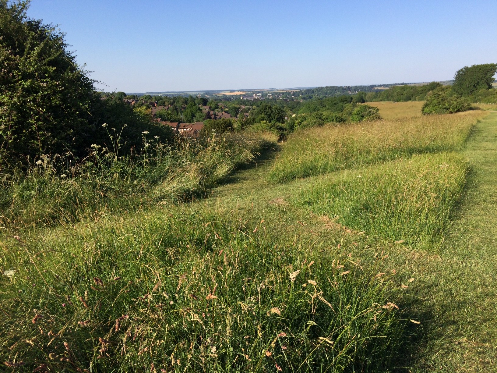 Whiteshute Ridge in Winchester