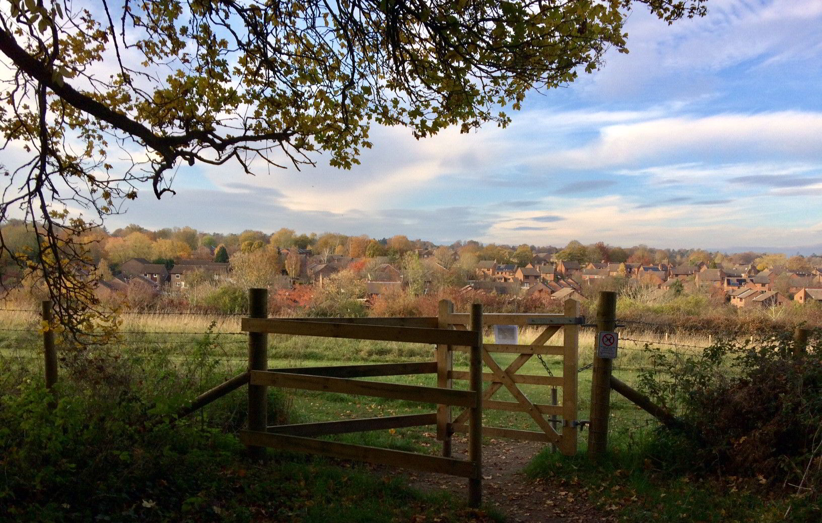 A view of Badger Farm in Winchester