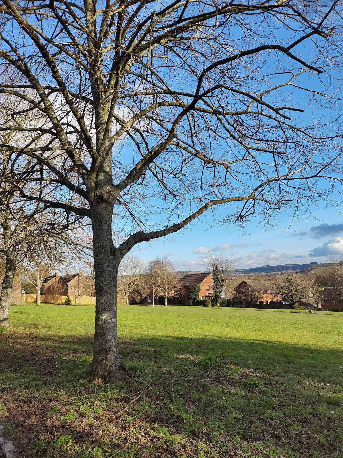 Davis Kickabout area in Badger Farm