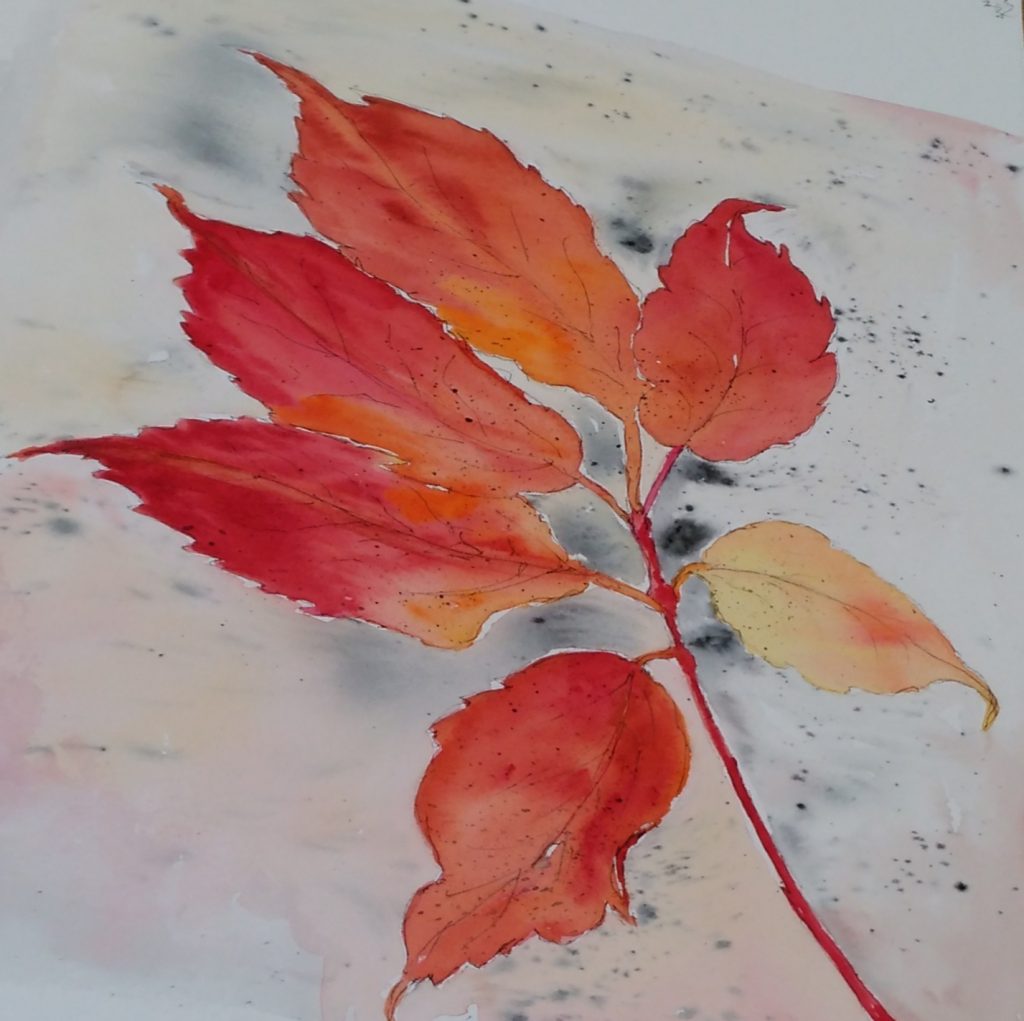 A watercolour of a leaf showing autumn colours, red and gold.
