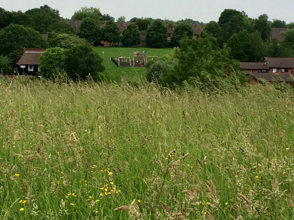 A view of a children's play area