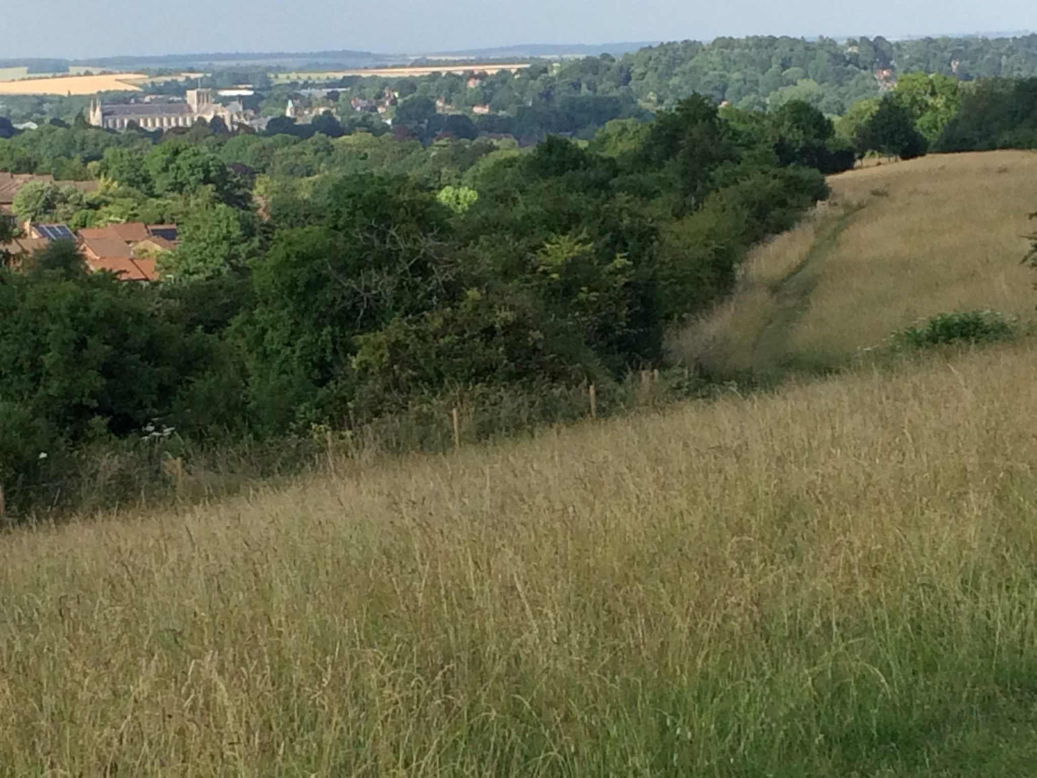 A view of Winchester Cathedral from Whiteshute Ridge