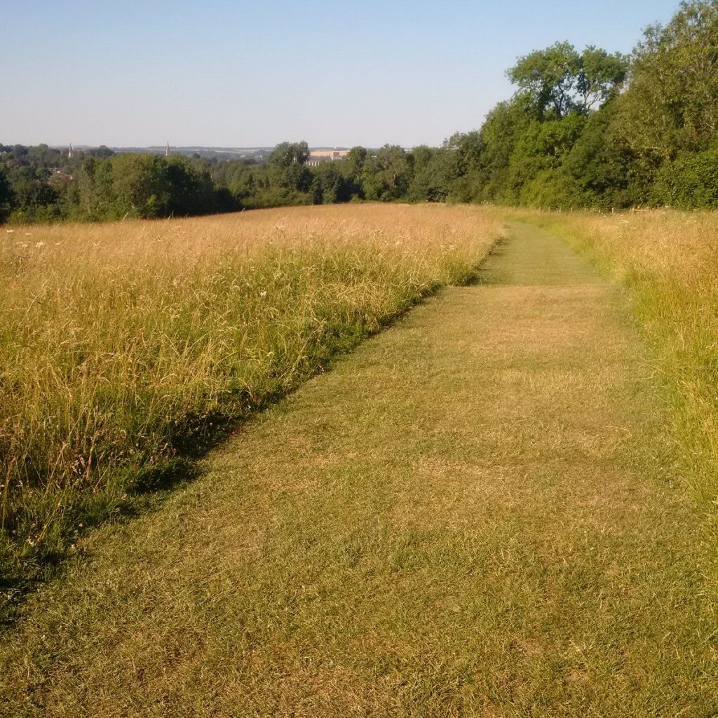 A path cut through the grass on Whiteshute Ridge in Winchester