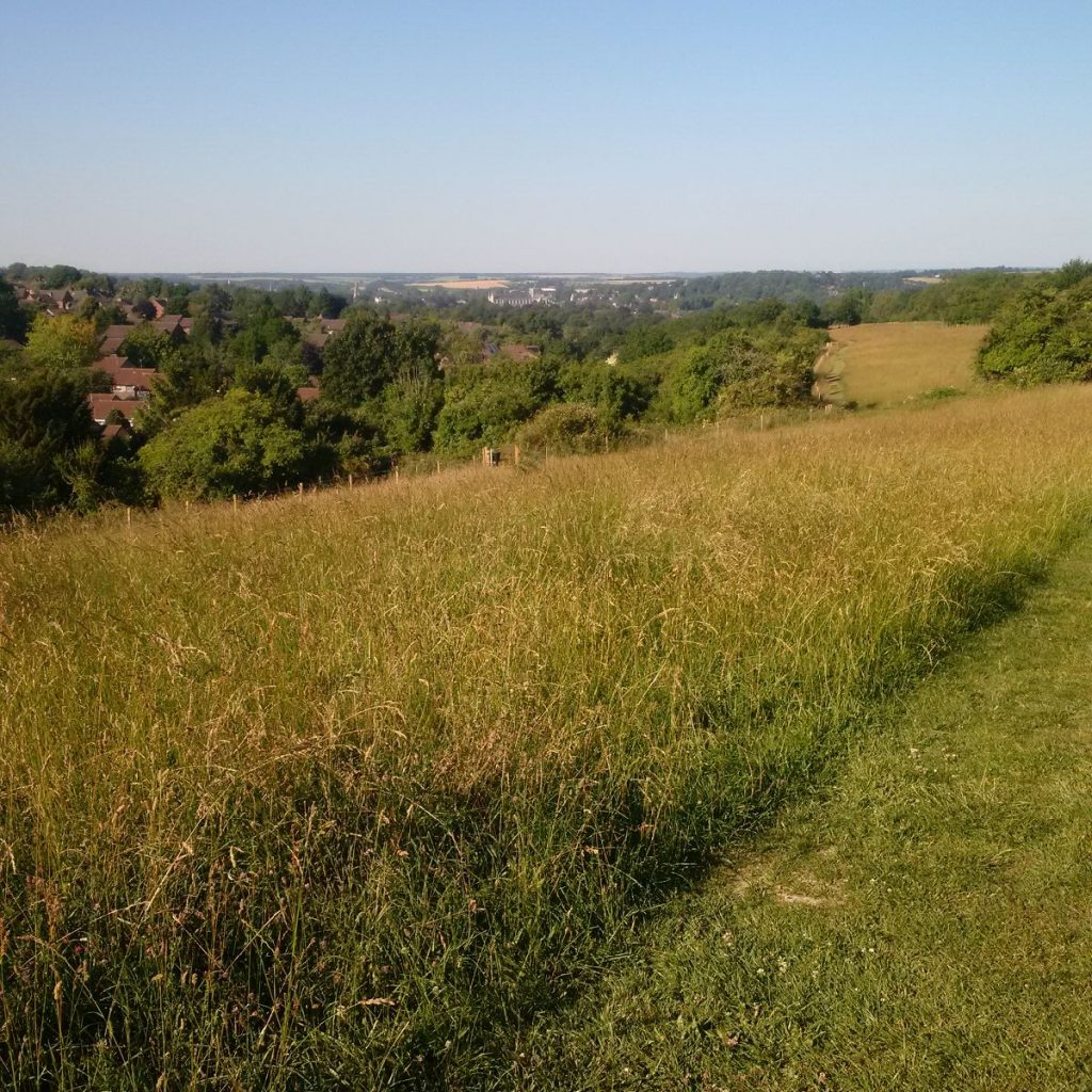 A distant view of Winchester Cathedral from Whiteshute Ridge