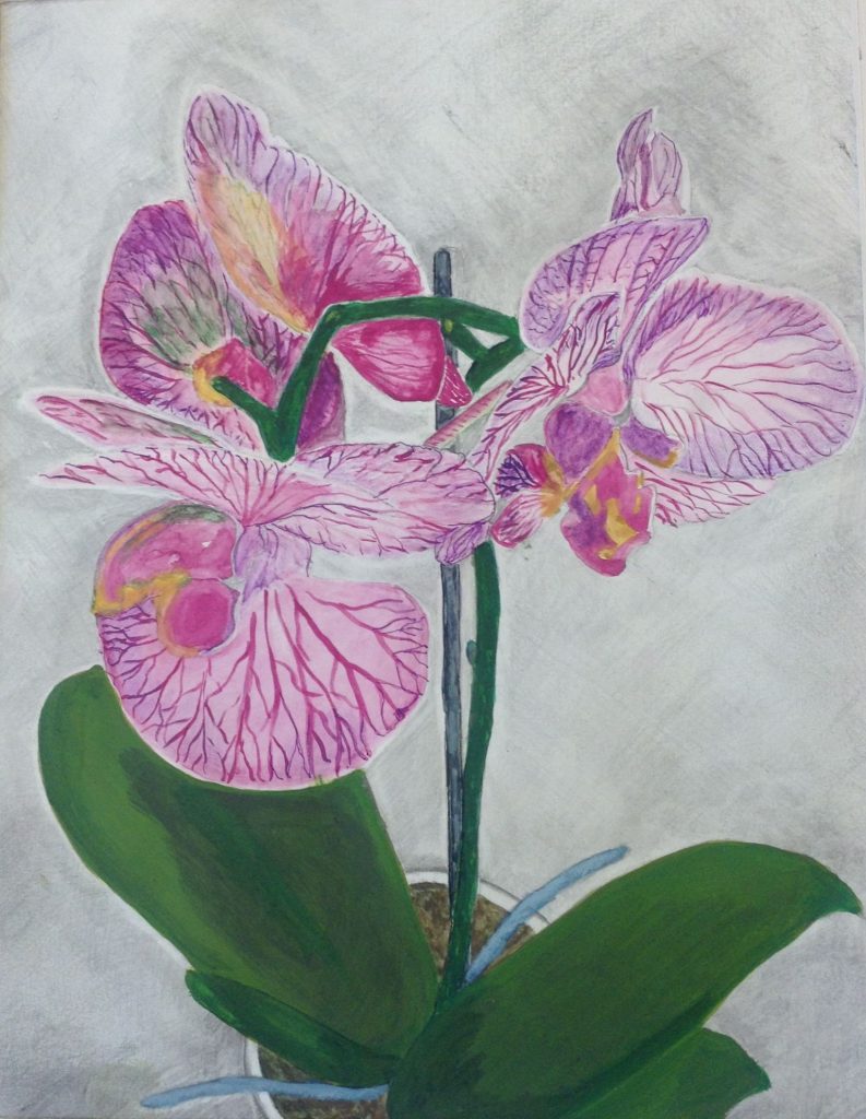 A watercolour painting of an orchid
