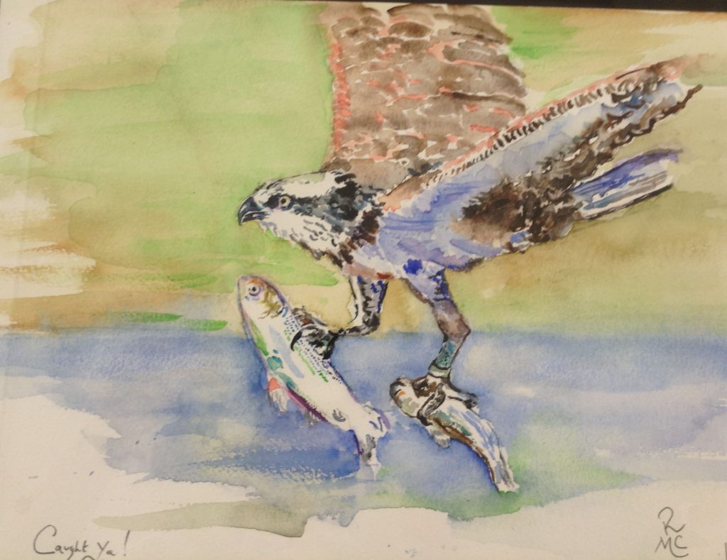 A watercolour painting of a bird of prey with two fish in its talons