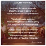 Autumn to Winter - a poem