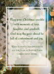 Seasons greetings from all the team at Badger Farm Community Centre