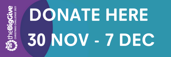 PAPYRUS the Big Give Donate Here