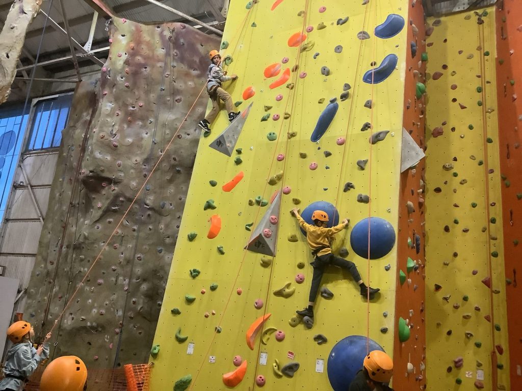 Children on a climbing wall