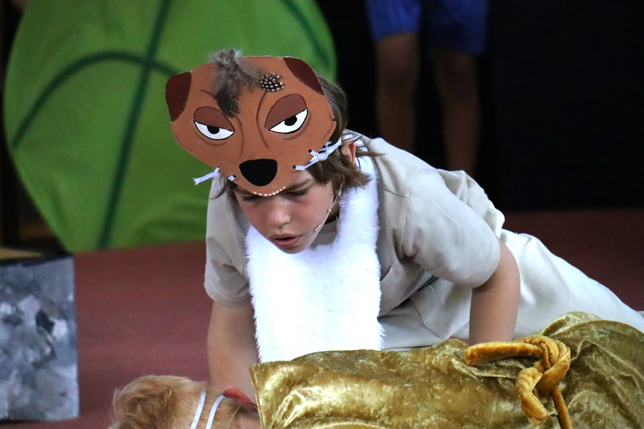 A pupil taking part in St Peter's Primary School production of The Lion King