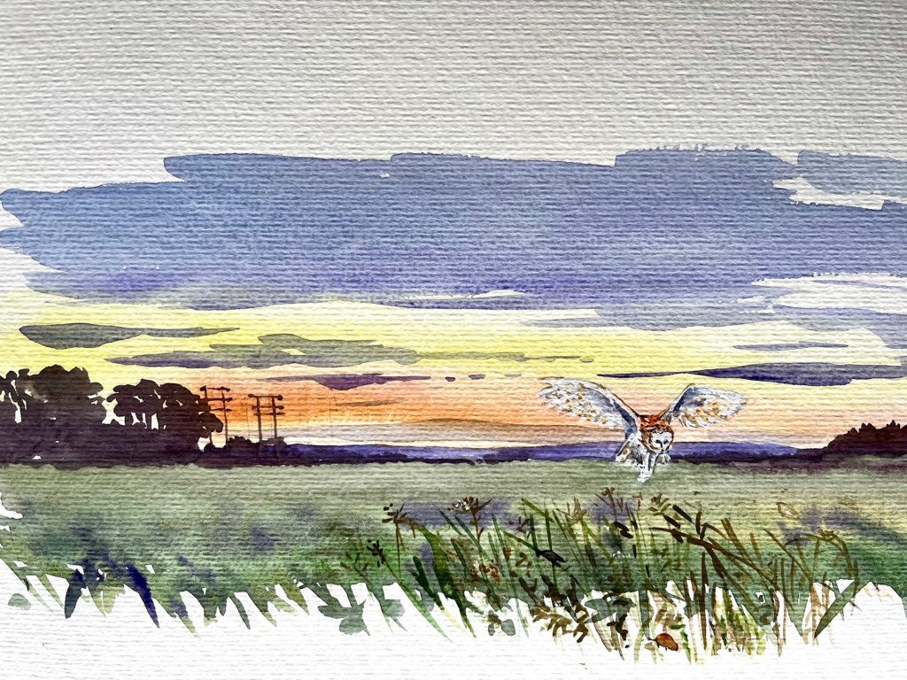 A watercolour painting of a barn owl flying over fields. Copyright Wendy Bramall 2024.
