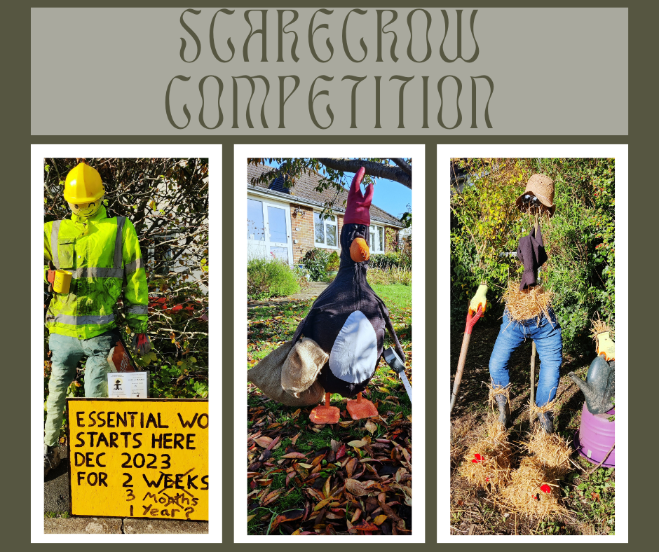 Scarecrow competition

A collage of images of scarecrows.