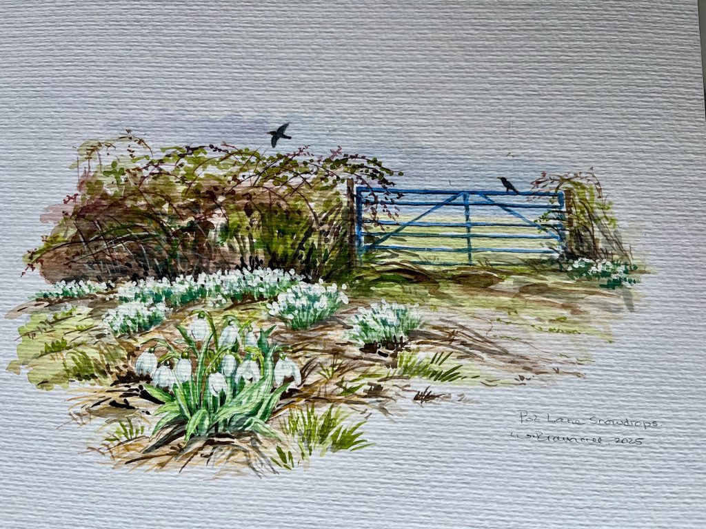 A watercolour painting of snowdrops.