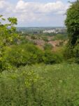 View from Whiteshute Ridge in Winchester, overlooking rooftops, trees and the distant cathedral across the landscape.