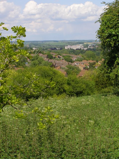 View from Whiteshute Ridge in Winchester, overlooking rooftops, trees and the distant cathedral across the landscape.